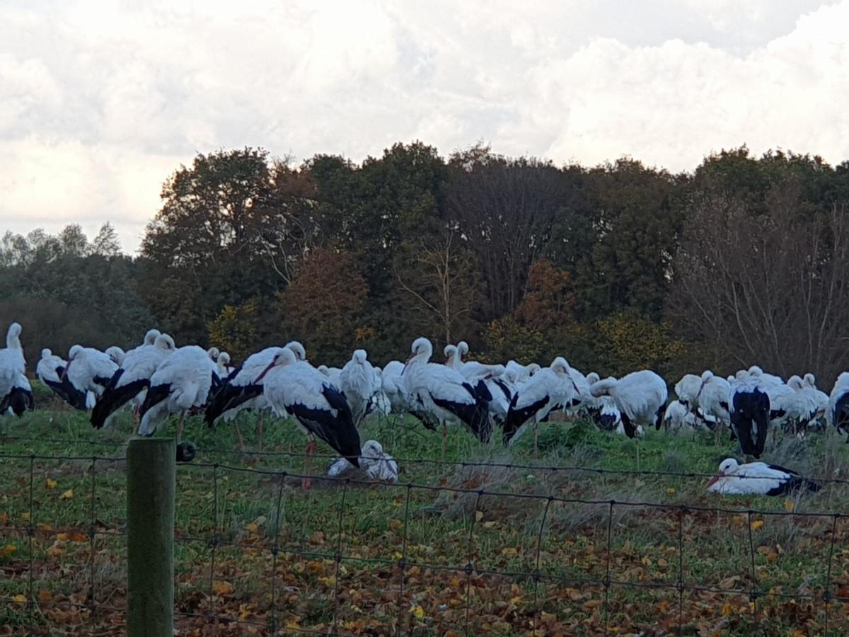 Buitenplaats Reestdal IJhorst Экстерьер фото